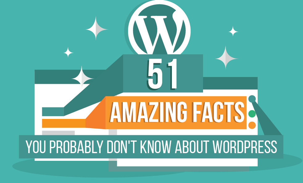 Infographic: Everything You Need To Know About WordPress